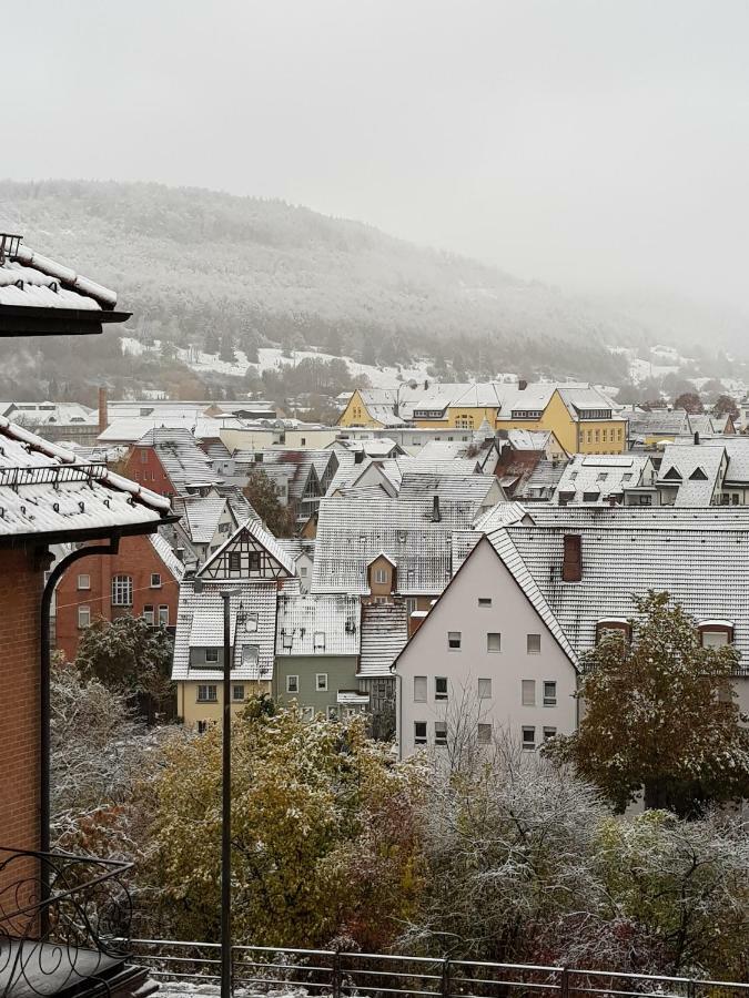 Ferienwohnungen Albstadt Exteriör bild