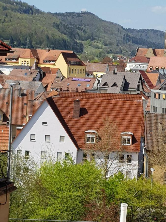 Ferienwohnungen Albstadt Exteriör bild